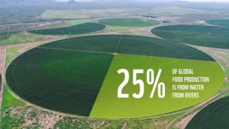 Managing Rivers As Systems To Maintain Irrigation And Other Benefits