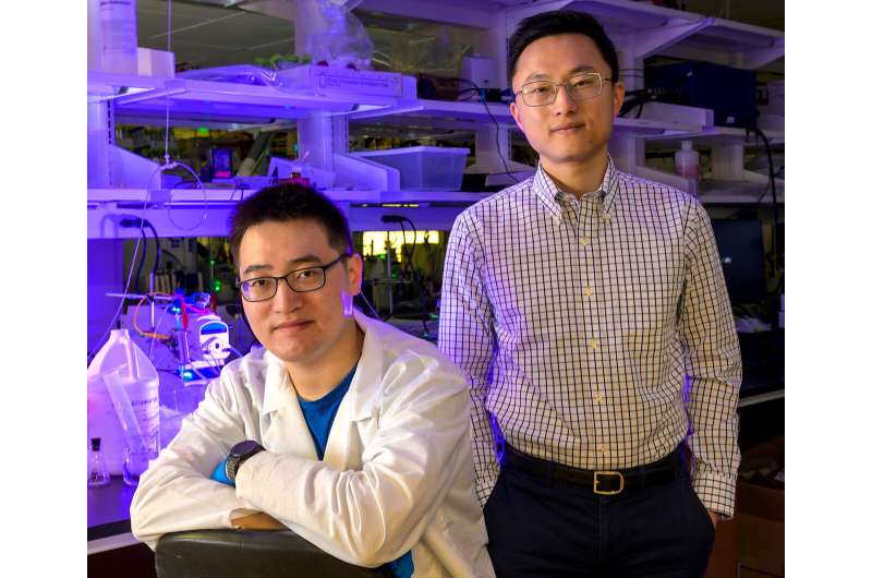 Electrochemical device captures carbon dioxide at the flick of a switch