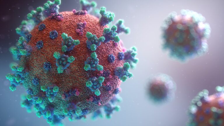 ExeVir Bio Nets €1.6M Grant in Push to Pioneer Virus-Thwarting Therapies