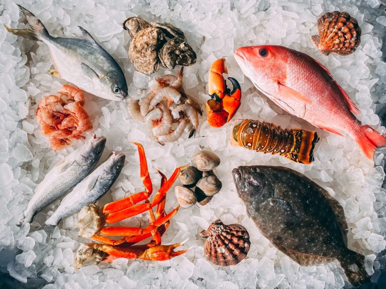 Bluu Seafood Hooks €16M Series A to Reshape the Seafood Industry: Tech to Table Innovation