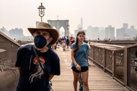 Tiny Bugs Swarm New York City Amidst Canada Wildfire Smoke