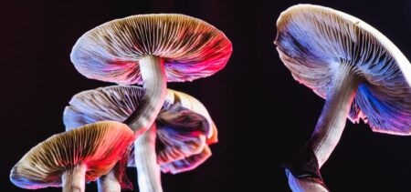 MDMA, Psilocybin, And Ketamine: 3 Psychedelics With Different Mental Health ‘Use Cases’