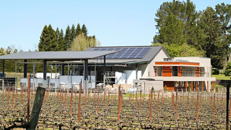 Why BLUE BIN Believes The Future Of The Wine Industry Rests On Bottle Packaging