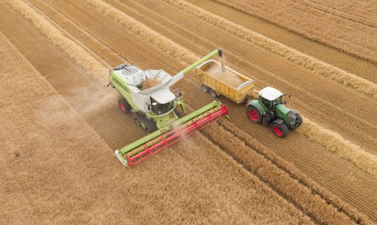 How Business Innovation Can Turn The Food Crisis Into A New Green Revolution