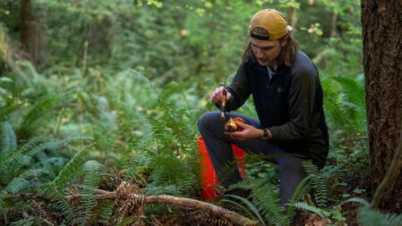 Foraged’s wild foods marketplace saw repeat customer rate increase over 1,000%