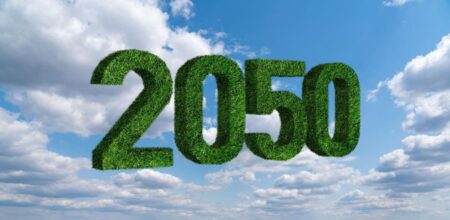 There are clues to 2050 business that can help today’s strategists.