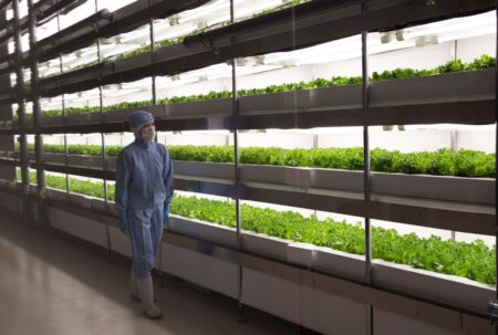 Food From Fukushima : Restoring Trusts Using AgriTech
