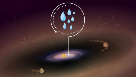 Earth-Like Planets Suddenly More Likely After Webb Telescope Discovery