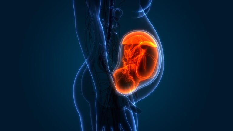 Organoids Shed Light On COVID-19 Infection During Pregnancy