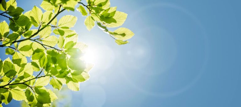 Wow! 3 Ways To Make Your Brand Shine With WOW-Worthy Content