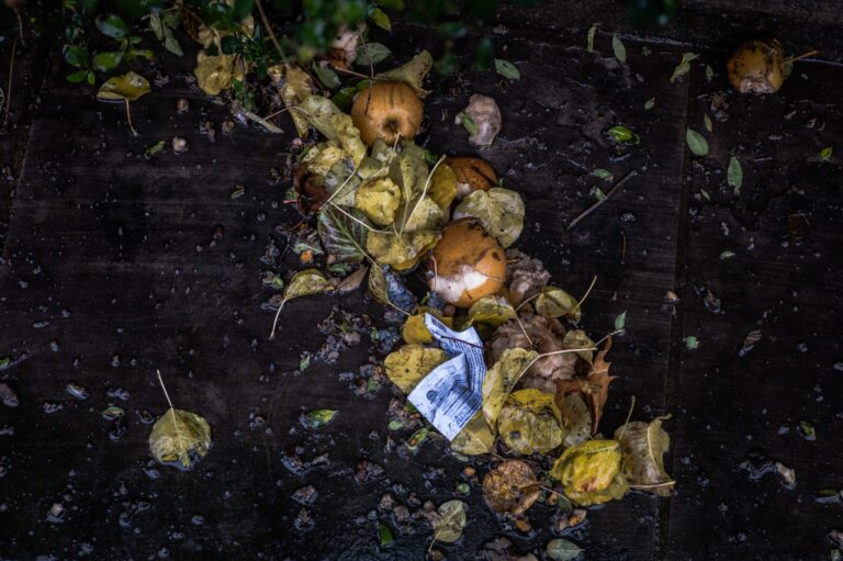 Startup Showcase: Robin Food: Tech-Powered Crusade Against Food Waste