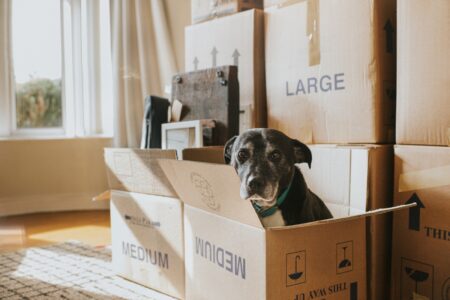 Should you move to a new state for tax savings before selling your startup?