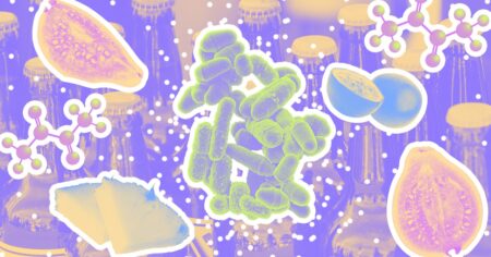 The Secret Ingredient in Your Craft Beer? Gene-Edited Yeast