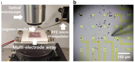 Cracking in lithium-ion batteries speeds up electric vehicle charging, study finds