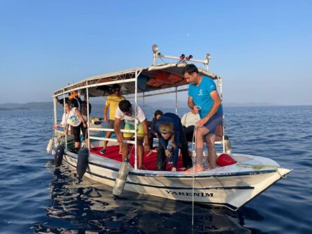 Unraveling The Secrets Of Mediterranean Sharks: Critical Research Receives National Geographic Funding
