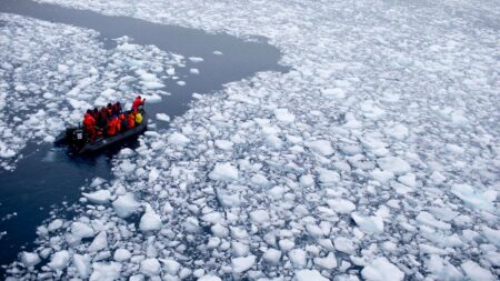 Extreme Weather Will Put Antarctic In Uncharted Climate Territory, Troubling Study Finds—Here’s Why It Matters