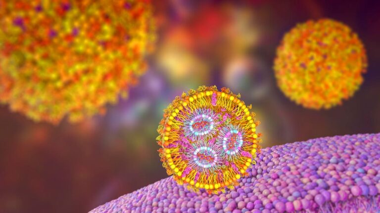 How MRNA Could Reinvent Blood Stem Cell Transplant Preparations