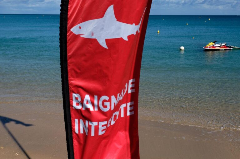 Nouméa’s Shark Dilemma