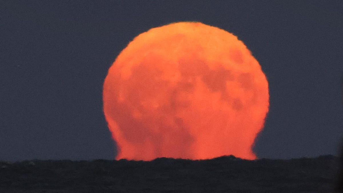 In Photos Spectacular ‘Blue Supermoon’ And Saturn Light Up August Sky