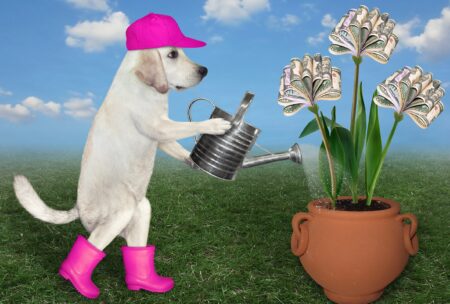 5 things Main Sequence’s Phil Morle learnt about venture capital from hanging out with 100 other investors