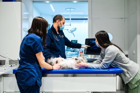 Veterinary software company TeleVet rebrands as Otto amid $43M in fresh funding