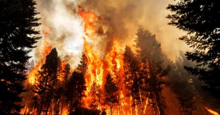 Meta’s News Block Causes Chaos as Canada Burns