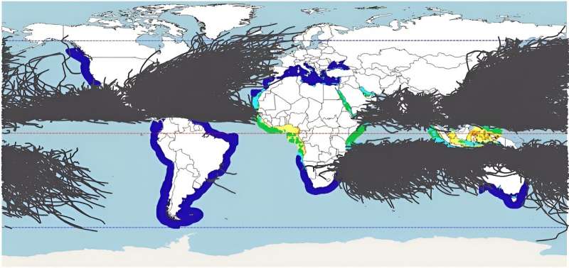'Limitless' energy: how floating solar panels near the equator could power future population hotspots