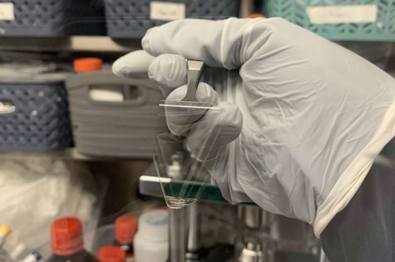 Photograph of the new transparent, thin-film FS-LiPON material which promotes a uniformly dense lithium metal electrochemical deposition under zero external pressure, with the aid of internal compressive stress and a gold seeding layer. The team also reports that this new stand-alone thin-film version of LiPON enables fundamental research (ss-NMR and Cryo-EM) of ion conduction and electrochemical performance. Credit: UC San Diego Laboratory for Energy Storage and Conversion / Diyi Cheng One step closer to lithium metal batteries that function with minimal external pressure