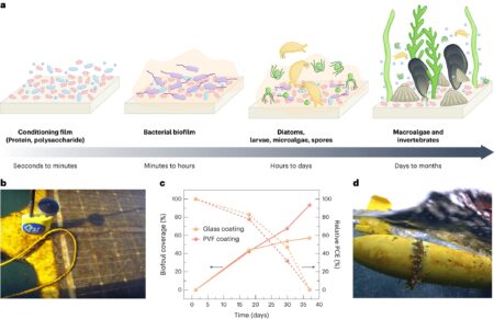 Under the sea: Can solar-powered underwater vehicles help us better understand our oceans?