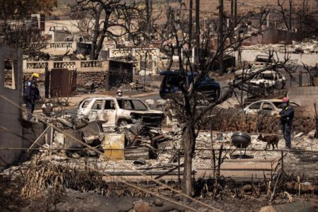 Not Old News – Social Media Is Filling The Void In Post-Disaster Reporting In Maui