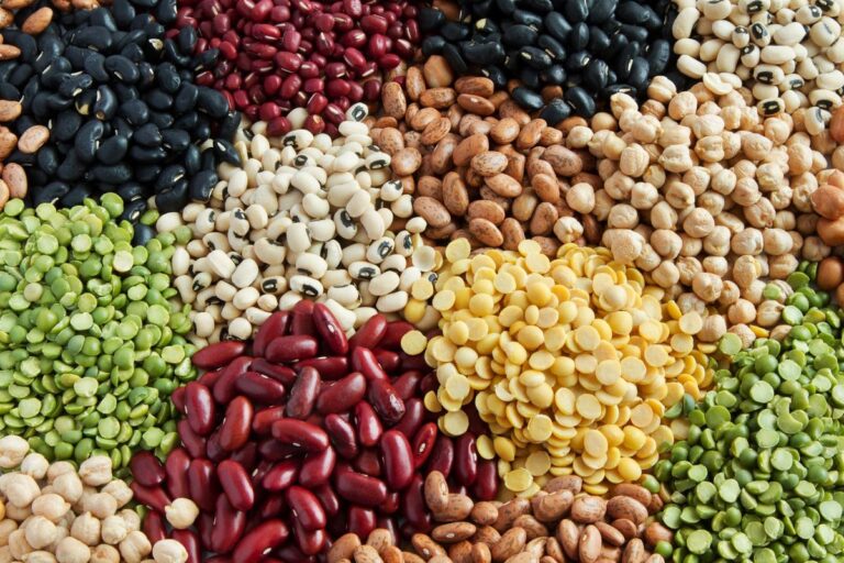 Denmark’s $195 Millions Plant-Based Fund Receives Overwhelming Number Of Applicants