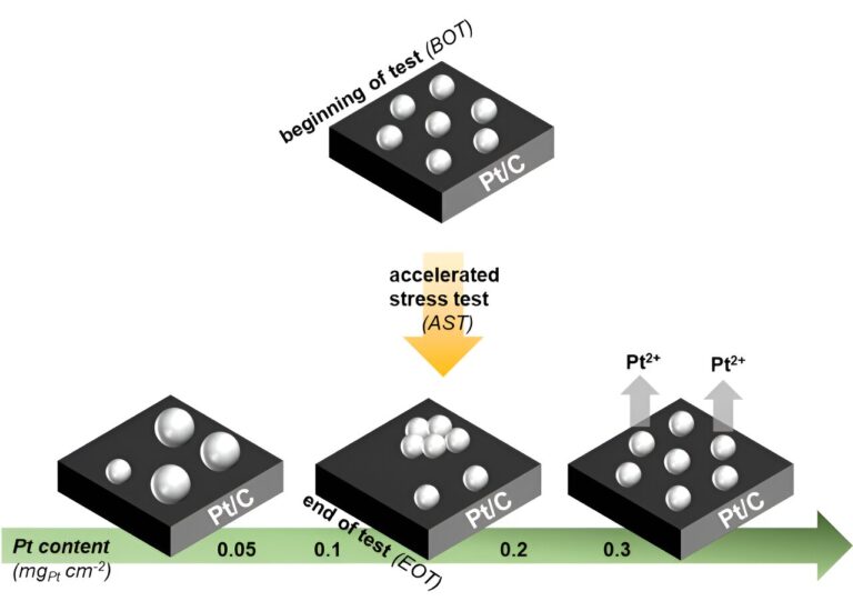 Examining how cathode catalyst layer platinum loading affects the durability of proton exchange membrane fuel cells