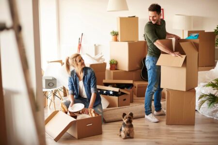 Pet Policies In Rental Properties: A Comprehensive Guide For Property Managers