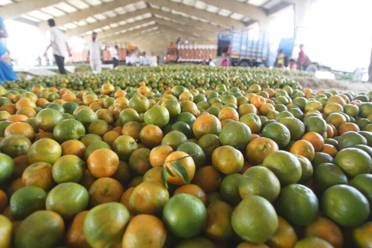 GIC in talks to lead $40 million funding in India’s Vegrow