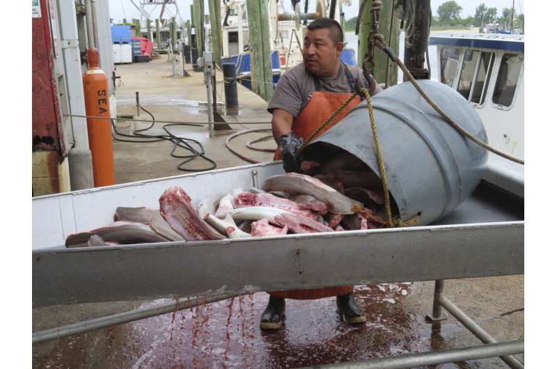 As US East Coast ramps up offshore wind power projects, much remains unknown