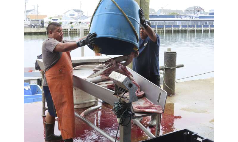 As US East Coast ramps up offshore wind power projects, much remains unknown