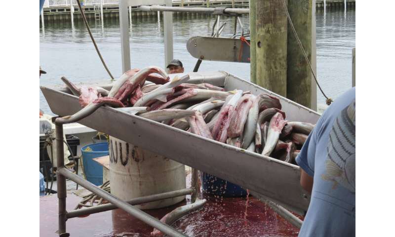 As US East Coast ramps up offshore wind power projects, much remains unknown