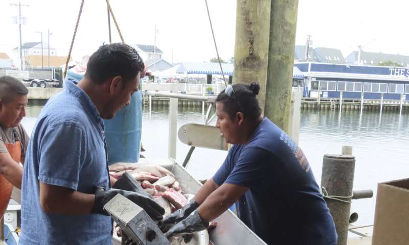 As US East Coast ramps up offshore wind power projects, much remains unknown