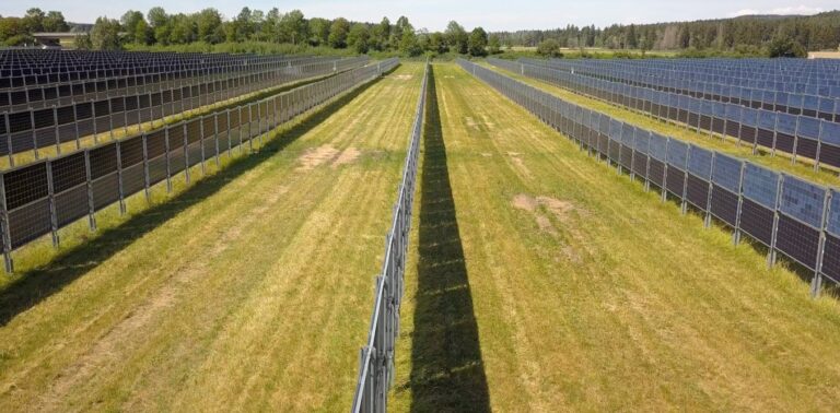 Mixed-use solar and agricultural land is the silver bullet Alberta’s Conservatives have wished for, says researcher