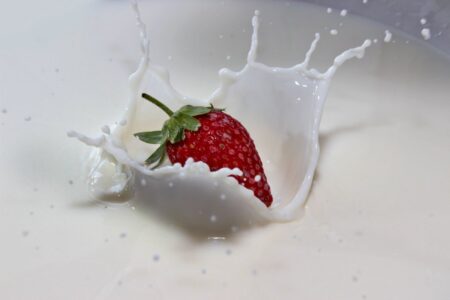 Bon Vivant toasts taking $15.9M to brew up versatile animal-free dairy proteins