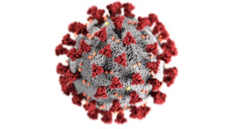 Nobel For Covid-19 Vaccine Development Recognizes Work Done Decades Before The Pandemic Began