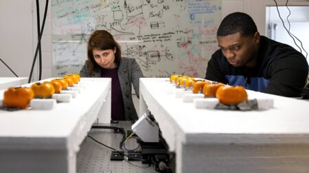 Fighting food waste: New system uses wireless signals in the sub-terahertz band to determine fruit ripeness