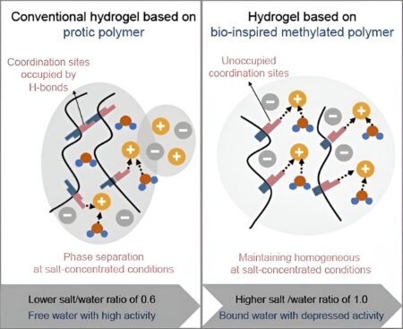 Bio-inspired battery design: Research uses electrolyte methylation to improve flexible sodium-ion batteries