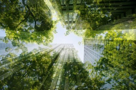 Five Actionable Tips For Achieving B Corp™ Certification