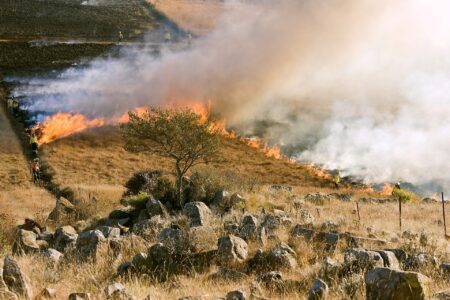 New study offers improved strategy for social media communications during wildfires