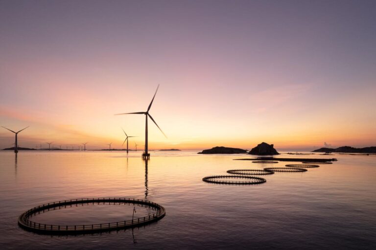 A Ripple Effect: Sustaining Businesses And Empowering Communities