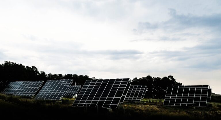 Clearing forests to erect solar panels may not be clean-energy solution
