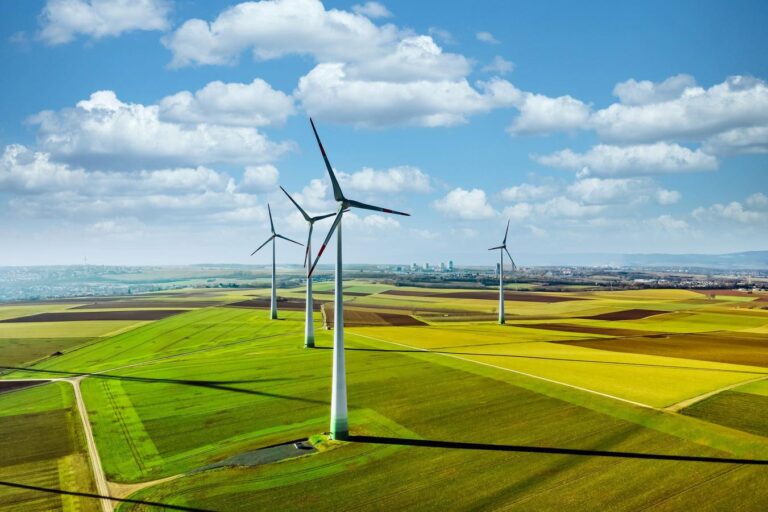 How Companies Can Achieve Their Sustainability Targets