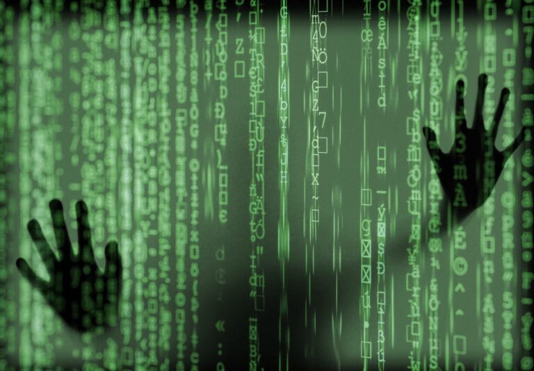 Surveying the realm of human rights in the wake of digitalization