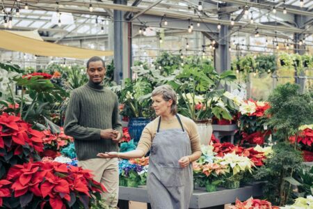 Holiday Planning: Seasonal Promotion Strategies For Plant Nurseries